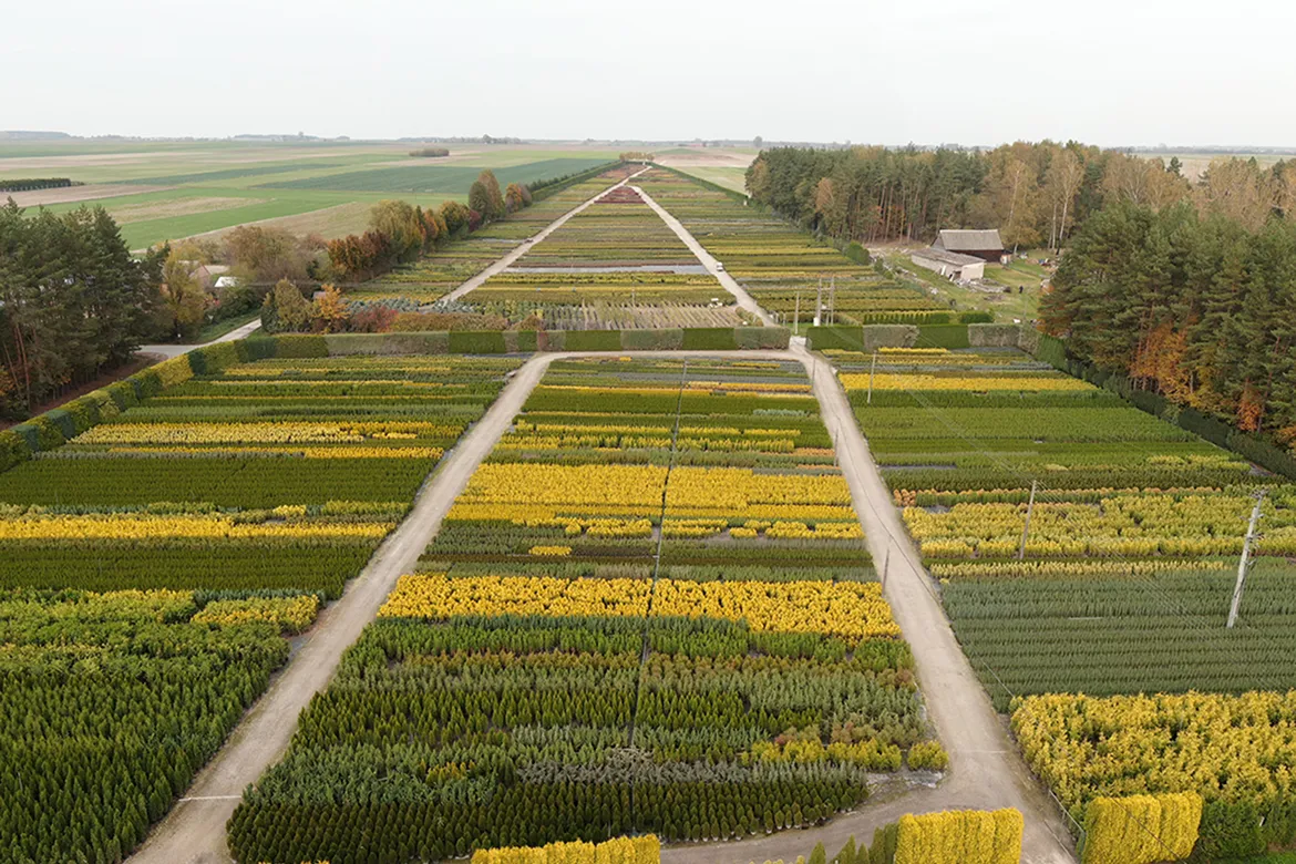 көшет материалы өндіру және дистрибуция Польша слайд 04