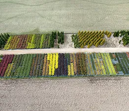 көшет материалы өндіру және дистрибуция Польша фотография 03