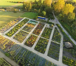 көшет материалы өндіру және дистрибуция Польша фотография 04