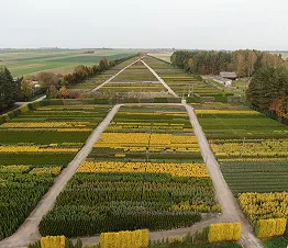 көшет материалы өндіру және дистрибуция Польша фотография 07