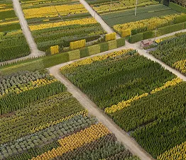 көшет материалы өндіру және дистрибуция Польша фотография 08