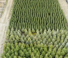 көшет материалы өндіру және дистрибуция Польша фотография 10