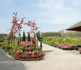 көшет материалы өндіру және дистрибуция Польша фотография 12