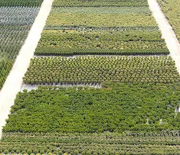 көшет материалы өндіру және дистрибуция Польша фотография 13