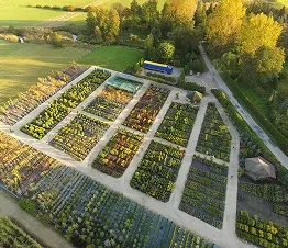 көшет материалы өндіру және дистрибуция Польша фотография 15